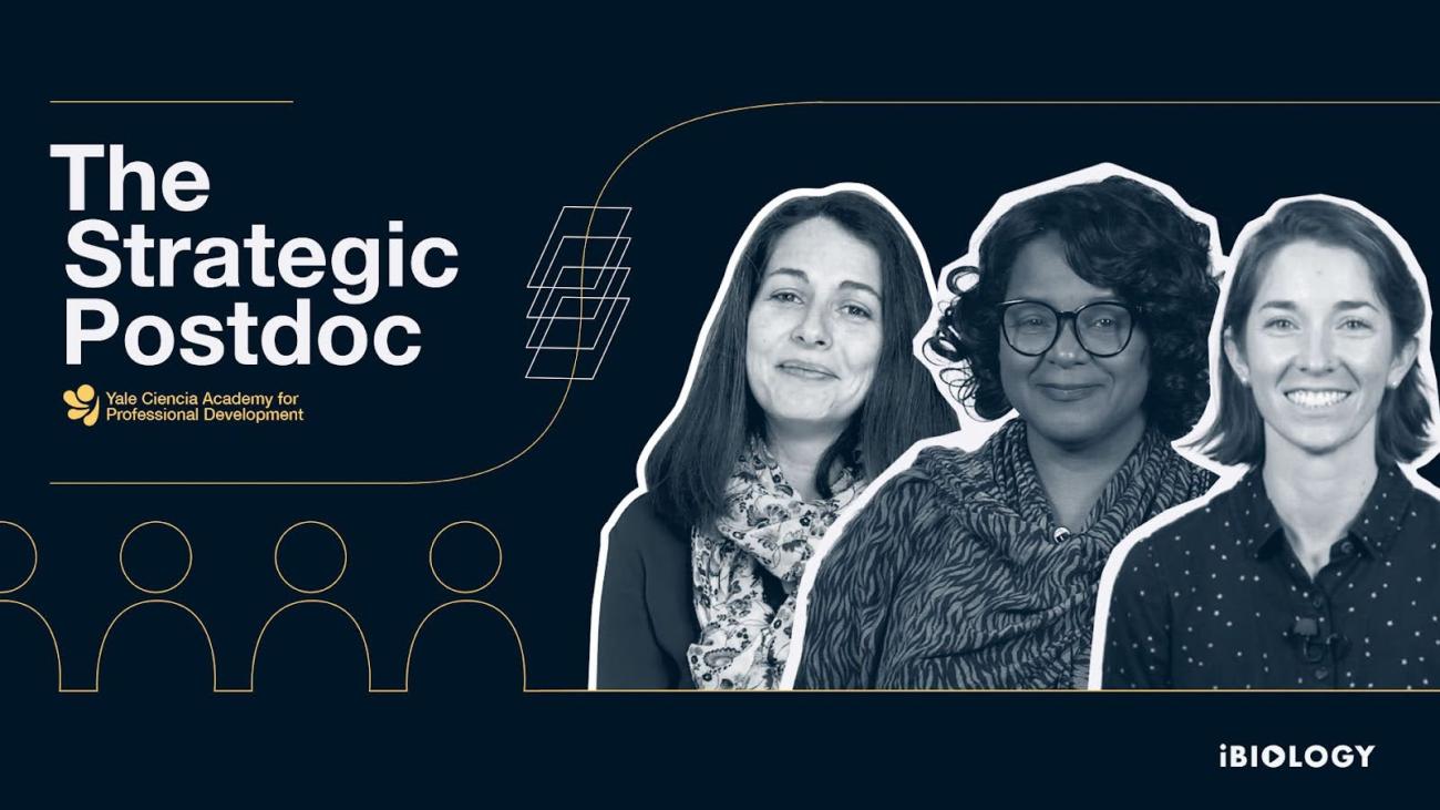 Promotional card for the video course The Strategic Postdoc. The title is to the left and the three smiling speakers are to the right. Laurence has long hair and is wearing a scarf, Naledi has short wavy curl and glasses and Ray has short hair and a polka dot blouse.